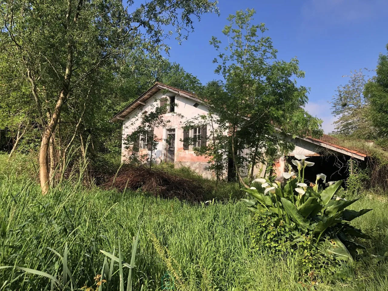 Photo of Authentic 18th-Century Landaise Farmhouse to Renovate