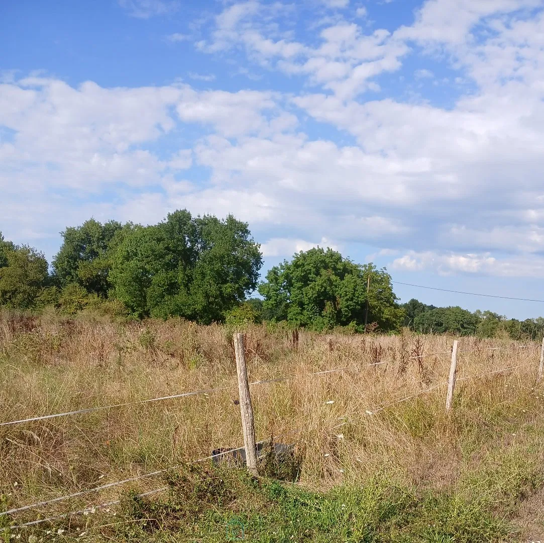 Photo of Propriété avec 2 600 m² constructibles et 4 hectares de zone naturelle
