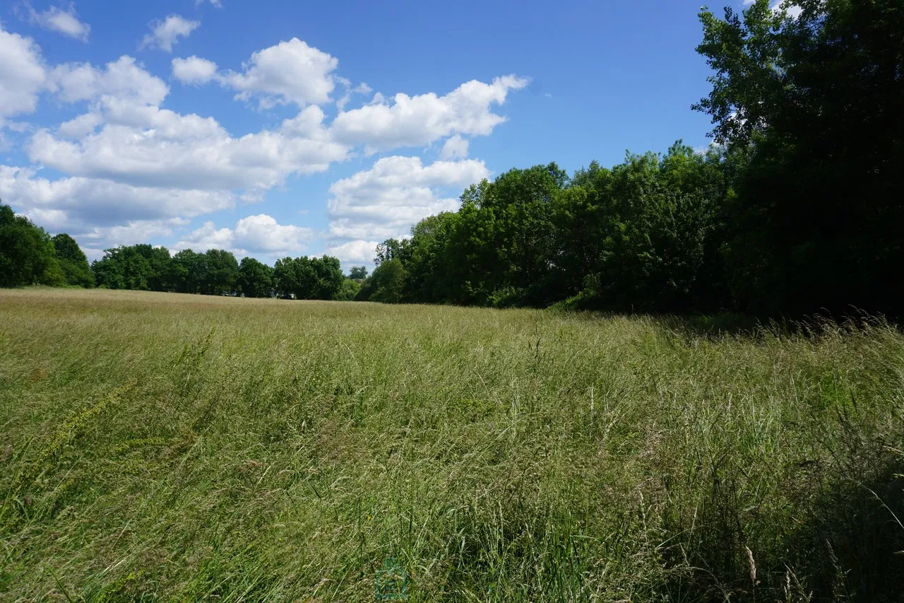 Photo of Building land of 2.8 hectares